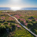 Explore the Wonders of Tidelands Nature Center on St. Simons Island