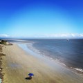 Discover Massengale Park Beach on St. Simons Island